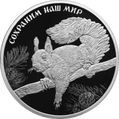 Серебряная монета 3 рубля "Белка обыкновенная" 31,1г., 2023г., Proof, Ag 925